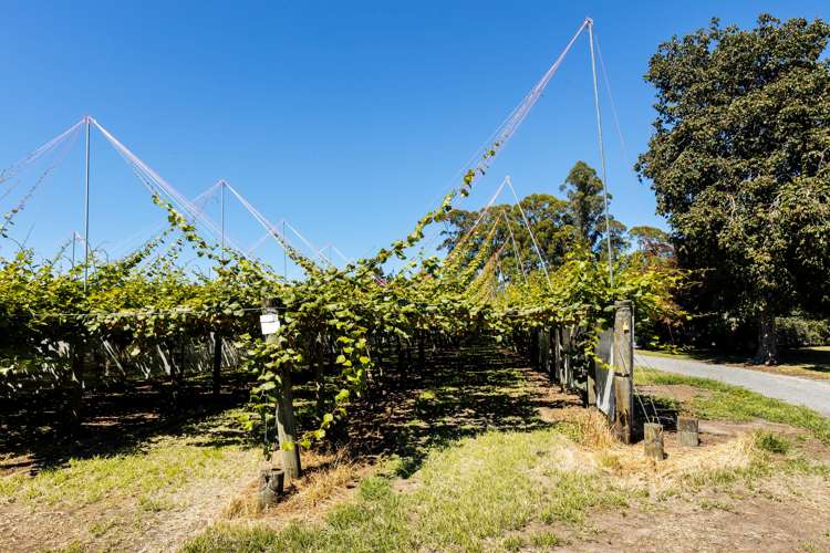 881b Te Matai Road Te Ranga_19