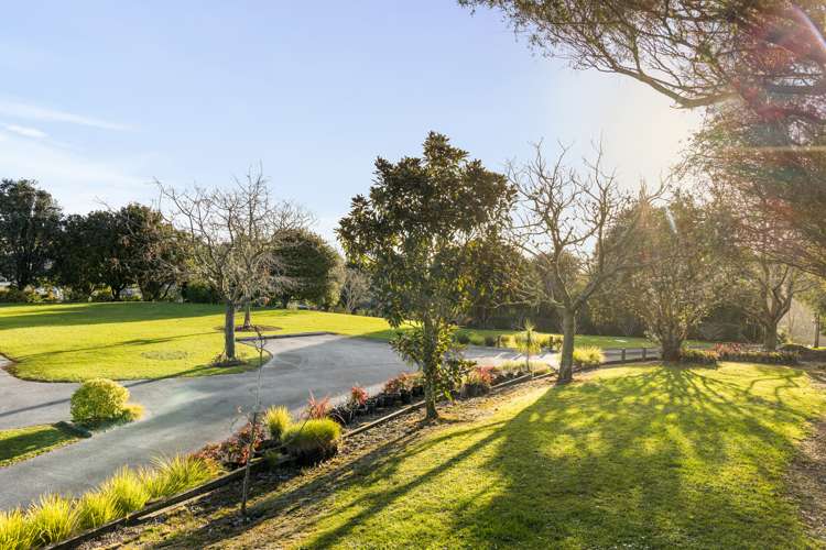 65 Blue Gum Drive Warkworth_21