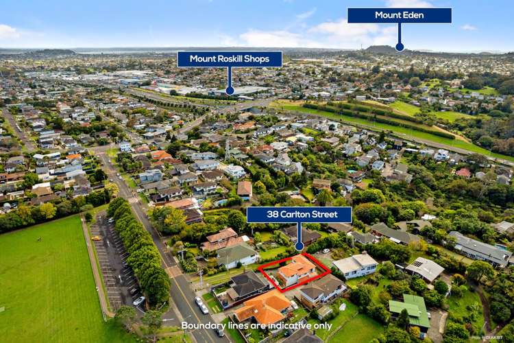 38 Carlton Street Hillsborough_21