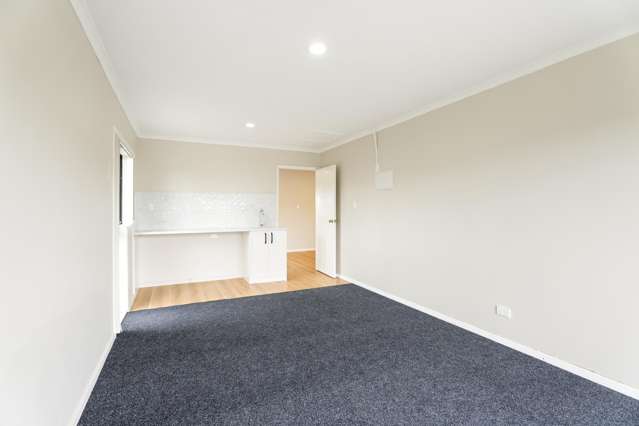 29 Pitt Avenue Clendon Park_4