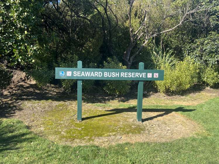 31 Mason Road Seaward Bush_8