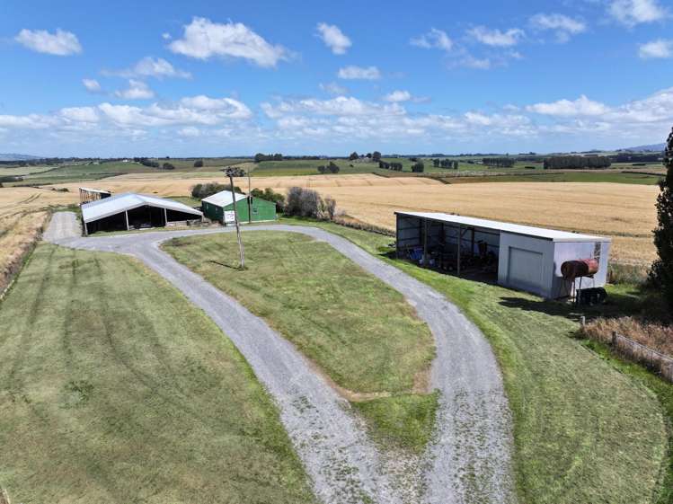 583 Reaby Road Gore_15