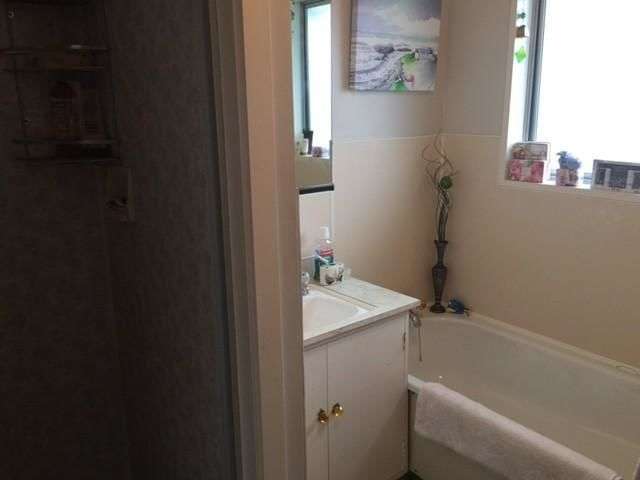 11a Martyn Street Rangiora_3