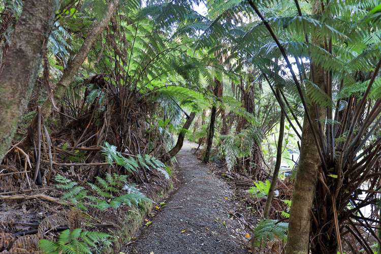 1746 Queen Charlotte Drive Anakiwa and Surrounds_23