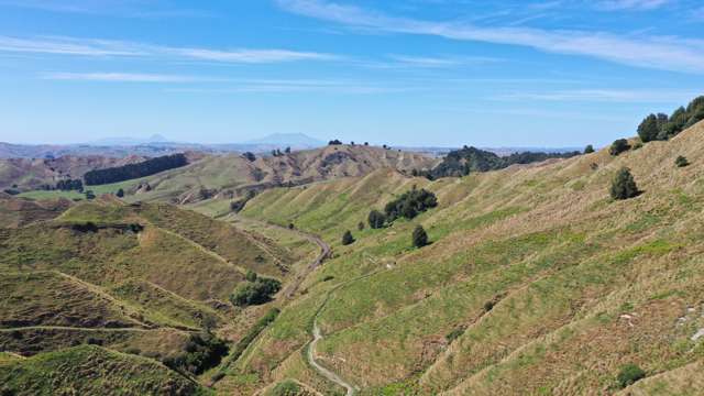 3779 Whanganui River Road (State Highway 43) Ruapehu-King Country Surrounds_3