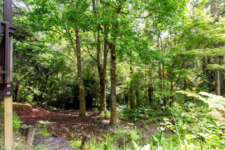 12 Portsea Place Chatswood_15