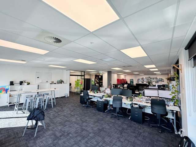351 Lincoln Road Addington_3