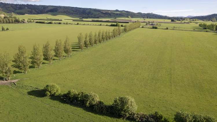 Lot 7 Admiral Road Carterton_10