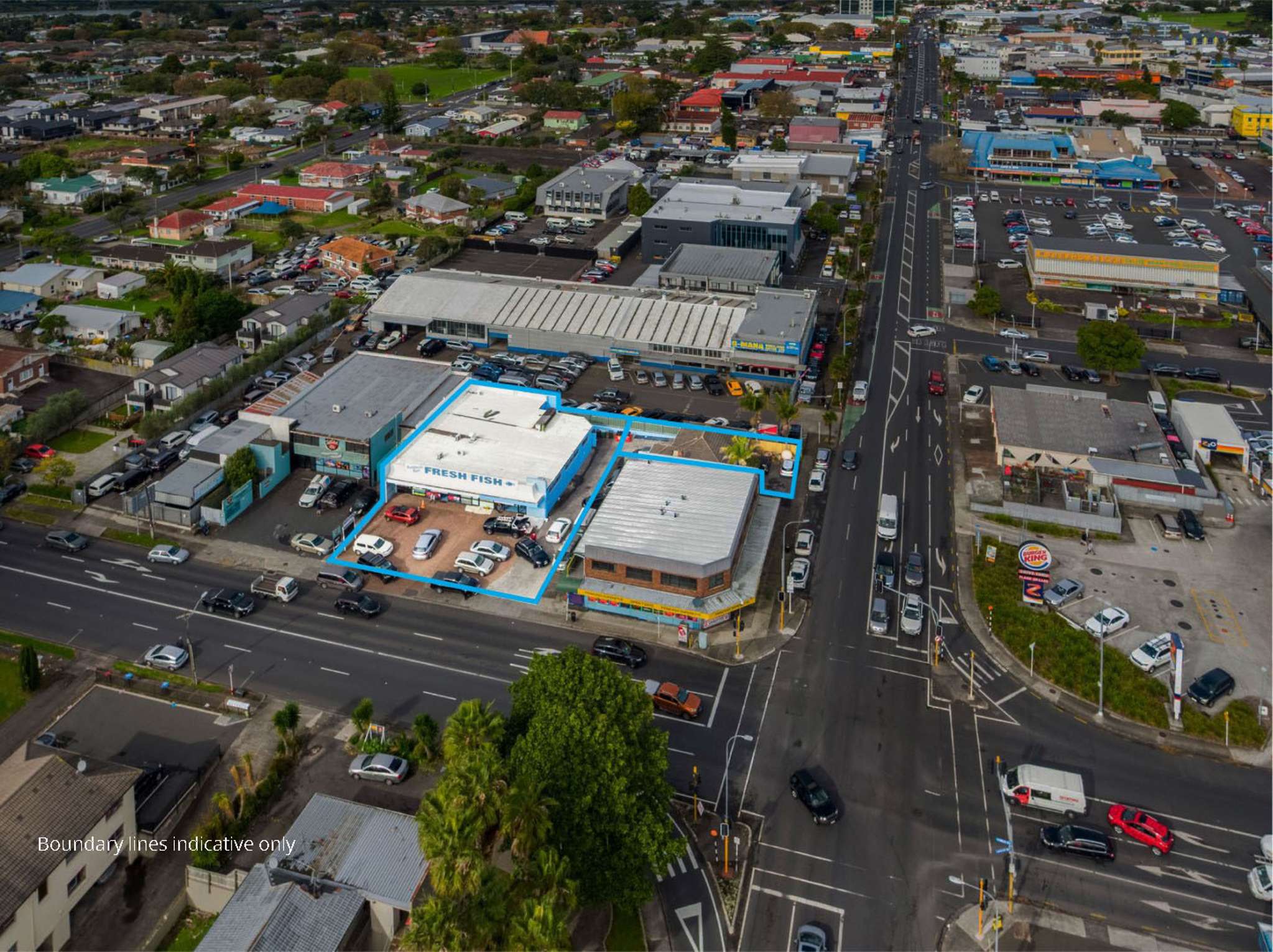 A real catch in Otahuhu up for auction