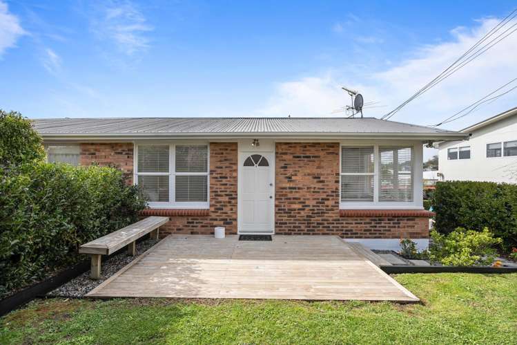 3/25a Brixton Road Mount Eden_11