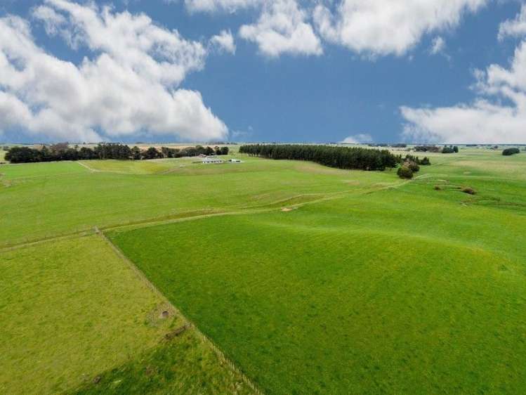 591 Wanganui Road Marton_4