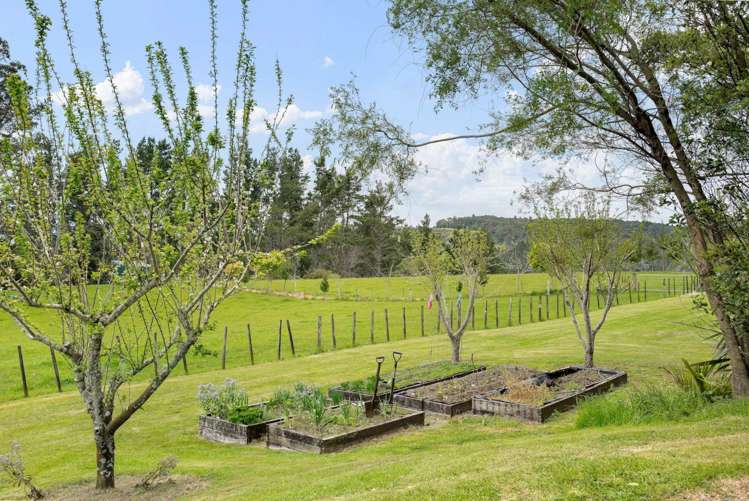 664 Te Puke Quarry Road Kaimai_34