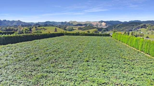 59 Macdonald Road Te Teko_2