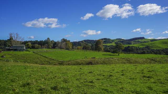 Lot 1/3400a State Highway 2 Mangatarata_4