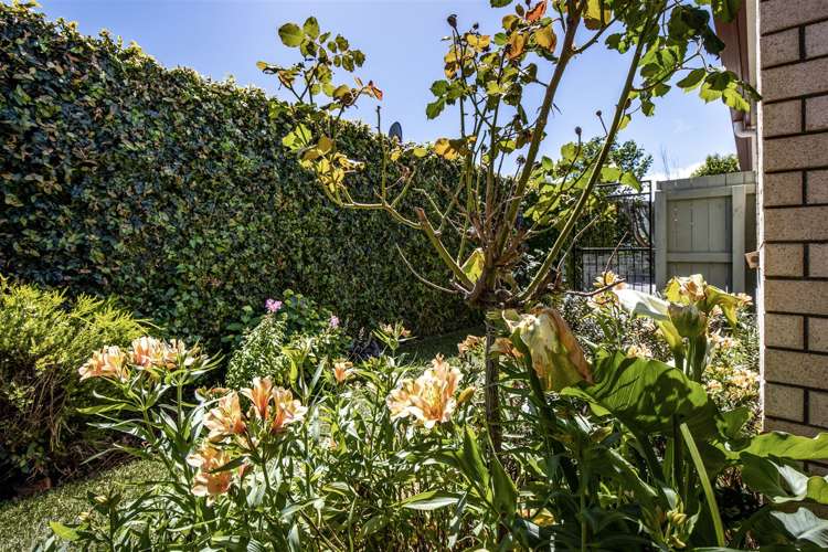 145a Charles Street Blenheim Central_17