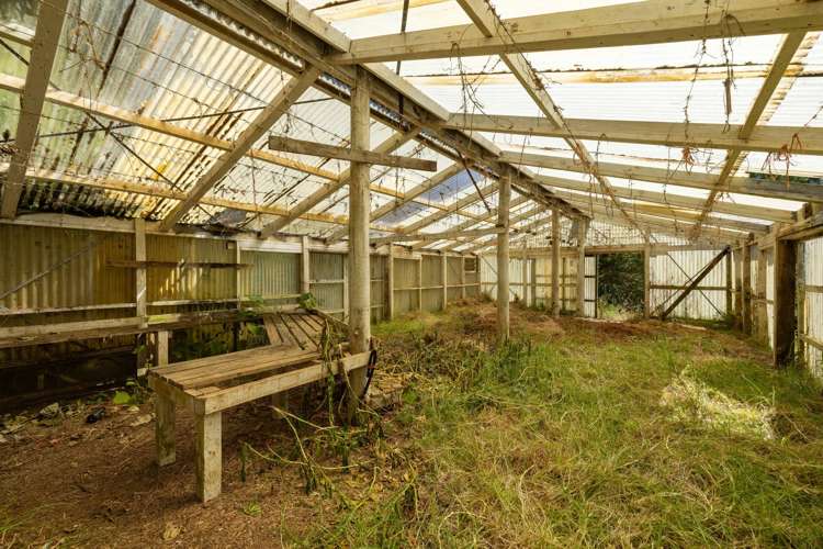 236 Willoughby Road Tahawai_32