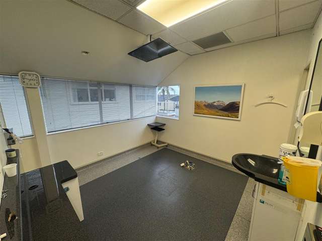 3 Ely Avenue Remuera_2