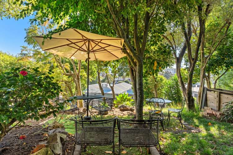 3 Dilworth Terrace Parnell_31