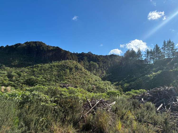 Taraunui Road Parua Bay_3