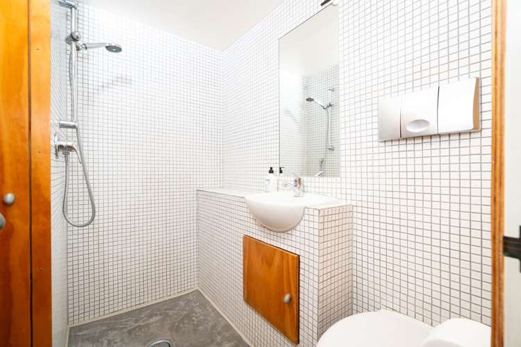 31 Aro Street Aro Valley_18