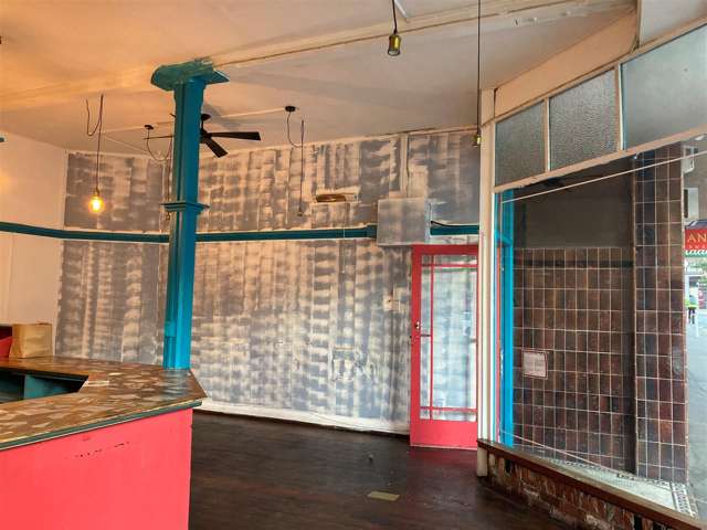 99 Victoria Street Te Aro_1