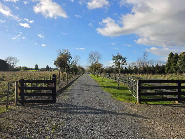 29 Mokena Kohere Street Manakau_4