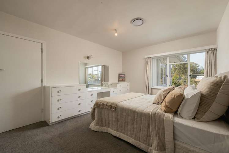 27 Tui Street Bird Area_25