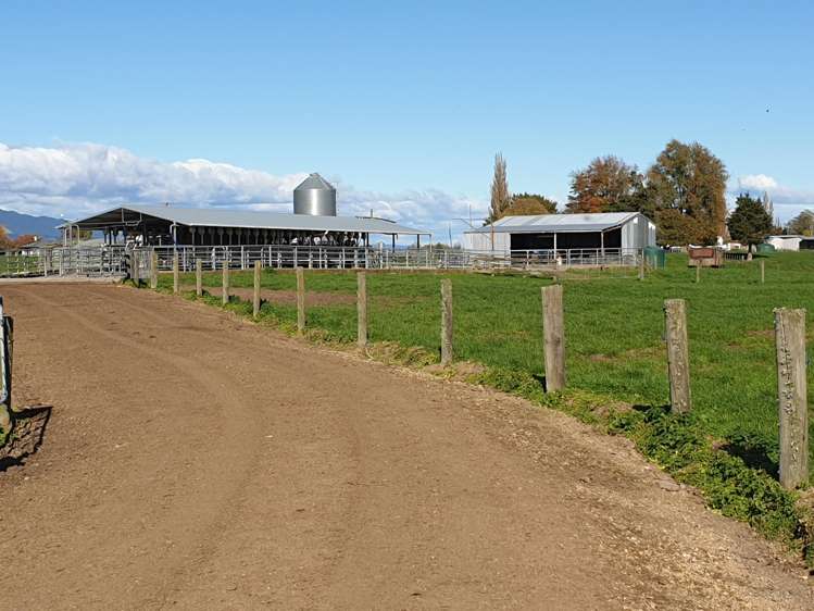 Wardville Road Wardville_6