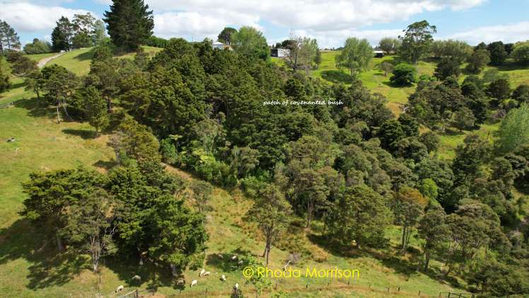 318 Franklin Road Paparoa_32