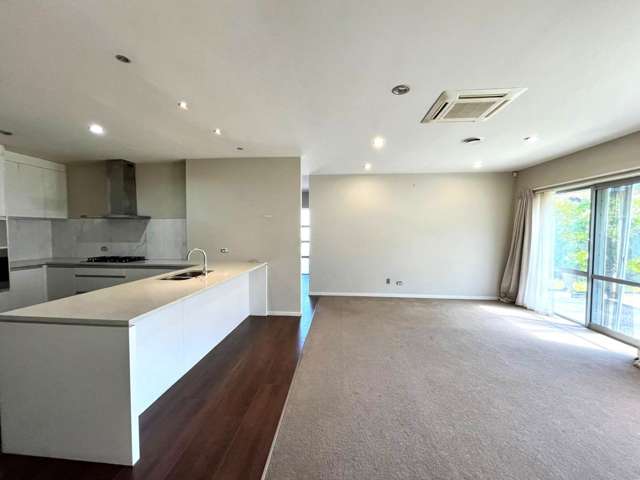 22 Helianthus Avenue Flat Bush_3
