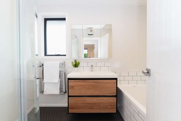 7 Vampire Road Waldronville_16