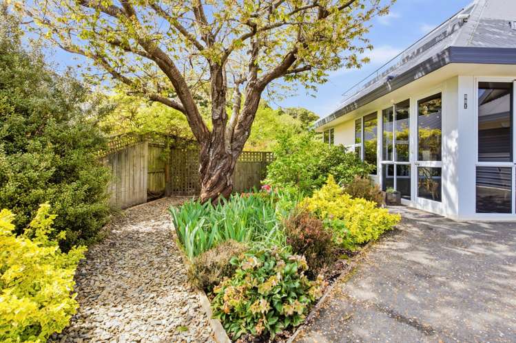 221 Helensburgh Road Wakari_27