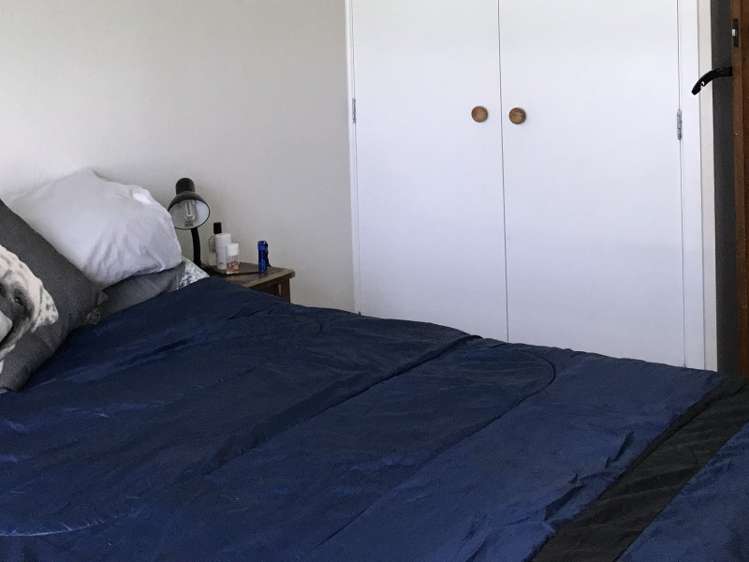 7 Goodwin Avenue Morrinsville_7