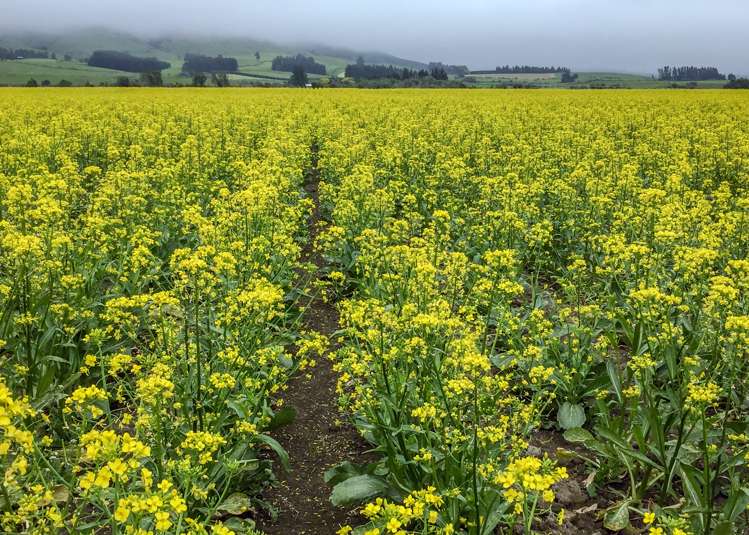 205 Barrs Road Sheffield_26