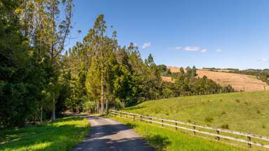 328 Sunnyside Road_2