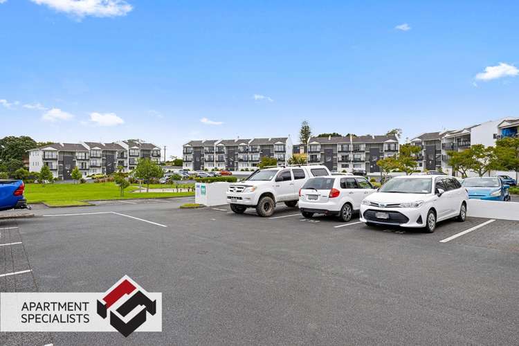 71 Spencer Road Albany_12