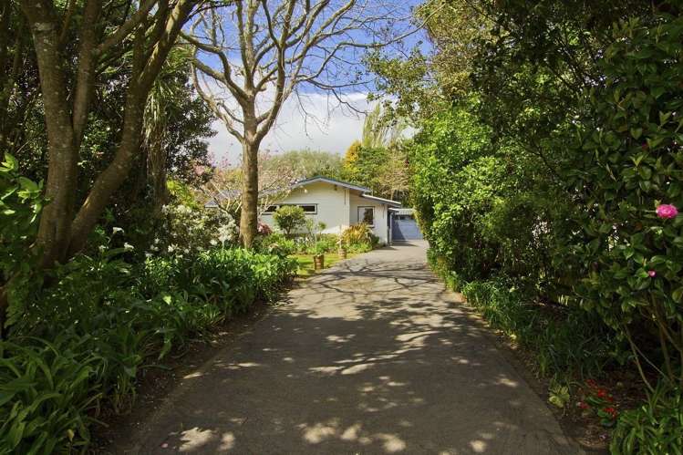 96 Owen Street Belmont_0