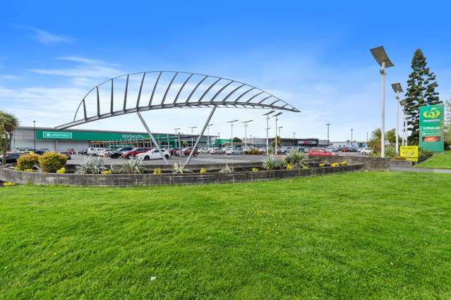 8 Eagle Way Te Rapa_4