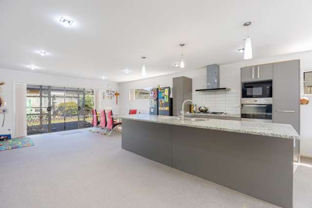 17 Birchlands Road Flat Bush_1