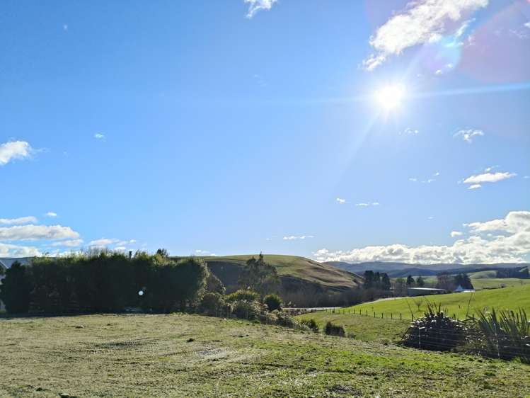 24c Thurso Street Lawrence_7