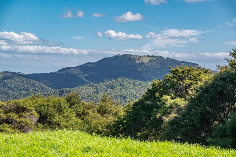 143 Cowes Bay Road Waiheke Island_7