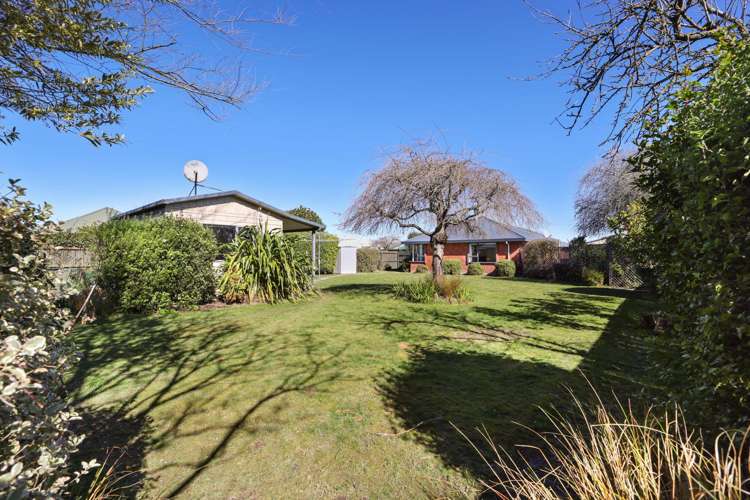 10 Maple Lane Tinwald_29