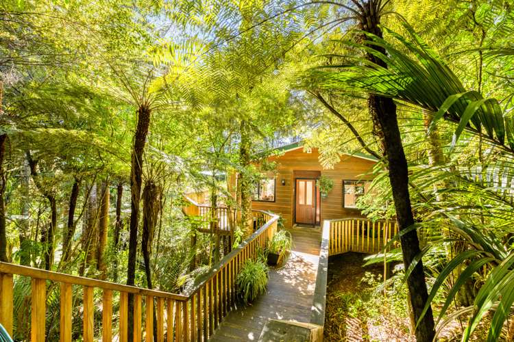 157b Konini Road Titirangi_15