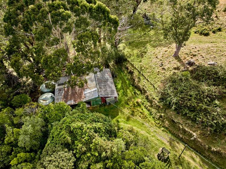 207 Flightys Road Judgeford_33