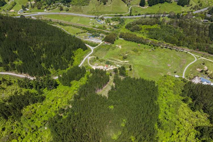 304 State Highway 1 Anakiwa and Surrounds_18