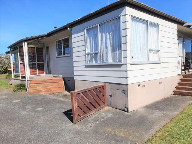 7 Gummer Place Morrinsville_1