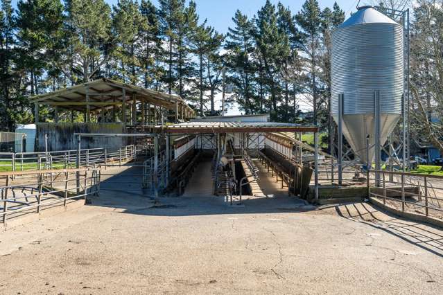1026 Limeworks Loop Road Te Pahu_2