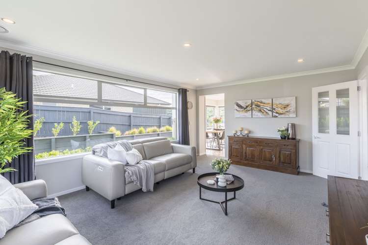 9 Catlins Glen Aotea_10