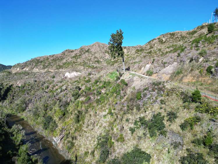 Cnr Whanganui River Road and Otunui South Road Taumarunui_21