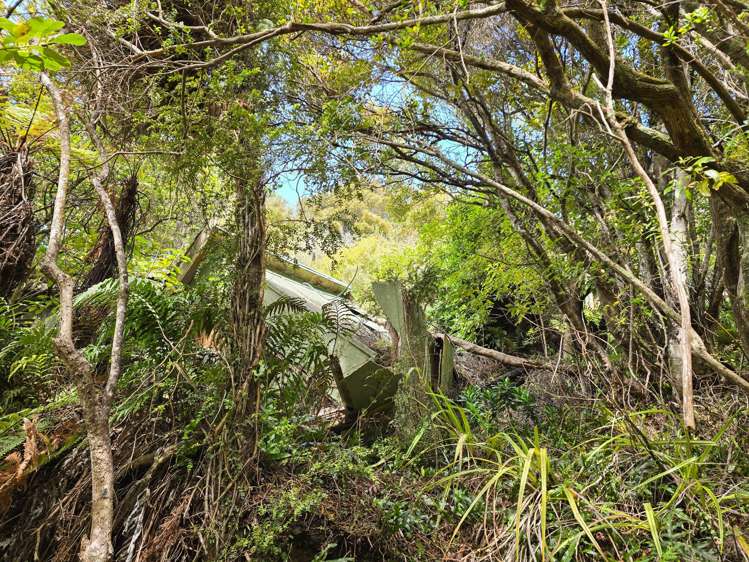 15 Excelsior Road Halfmoon Bay_6